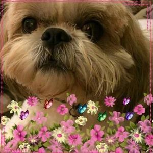 Meet your Posher, Carla